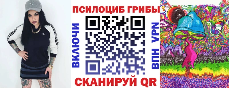 Галлюциногенные грибы Psilocybe Купить где Гаджиево